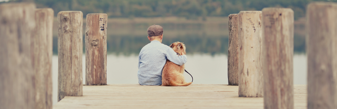 Verbinden statt trennen